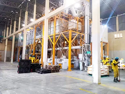 مصنع طحن دقيق الذرة بطاقة إنتاجية 150 طنًا يوميًا