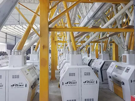 مصنع مطحنة دقيق القمح بهيكل فولاذي 260 طنًا يوميًا