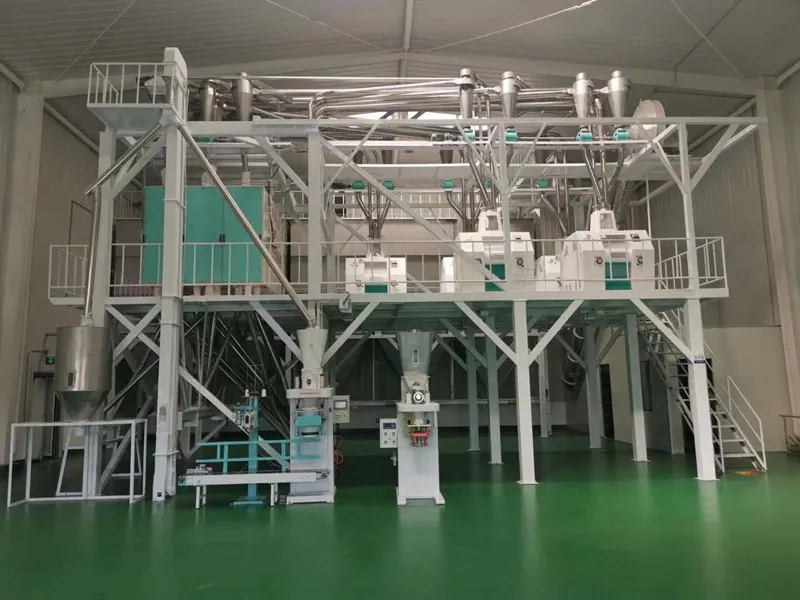 MEXCO 60TPD Wheat Flour Mill Plant