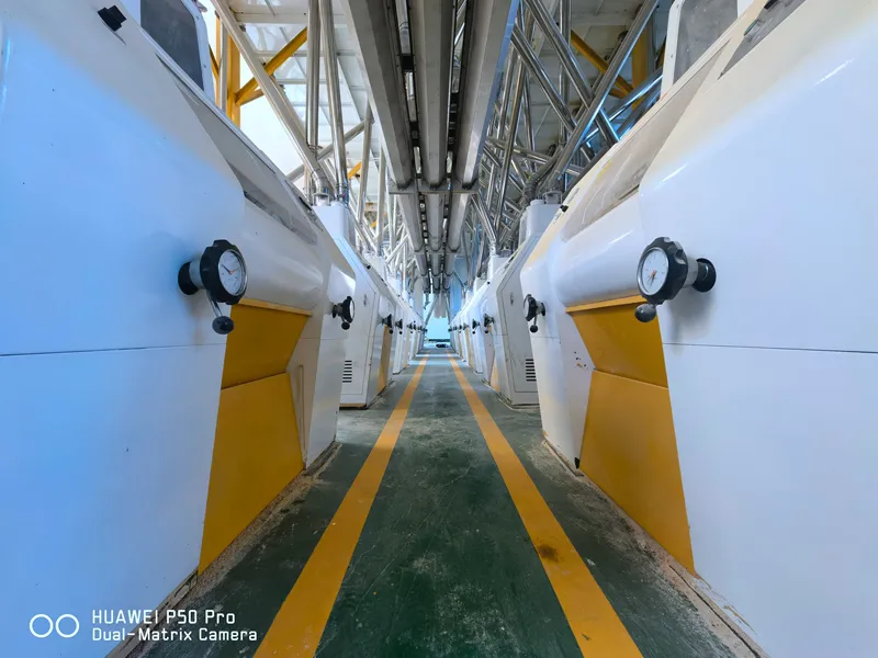 300TPD Concrete Structure Wheat Flour Mill Plant